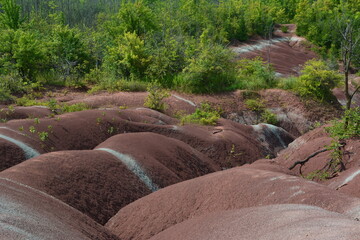 "Badlands" are areas of soft rock (soft shale and clay) that are easily eroded by water, devoid of vegetation and soil cover, which have become a rolling landscape with rounded hills and ravines.