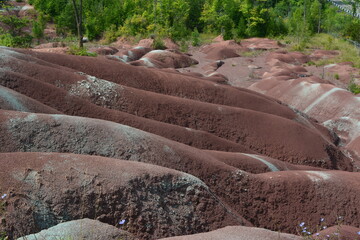 "Badlands" are areas of soft rock (soft shale and clay) that are easily eroded by water, devoid of vegetation and soil cover, which have become a rolling landscape with rounded hills and ravines.