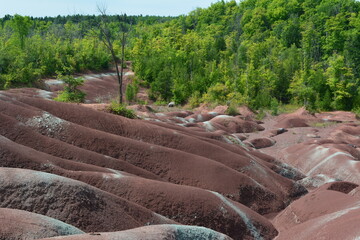 "Badlands" are areas of soft rock (soft shale and clay) that are easily eroded by water, devoid of vegetation and soil cover, which have become a rolling landscape with rounded hills and ravines.