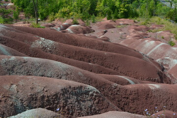 "Badlands" are areas of soft rock (soft shale and clay) that are easily eroded by water, devoid of vegetation and soil cover, which have become a rolling landscape with rounded hills and ravines.