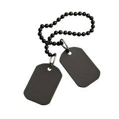 Two blank dog tags attached to a black beaded chain, commonly used for identification purposes.