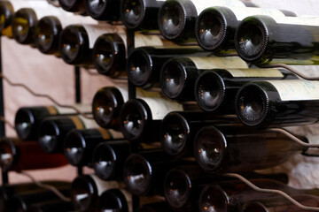 Selection of French wine bottles at a wine merchant. Red wine.. France.