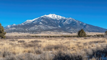 Obraz premium Majestic Mountain Landscape with Snow-Capped Peaks Beneath Clear Blue Sky and Golden Grassy Field in the Foreground Capturing Nature's Beauty and Serenity