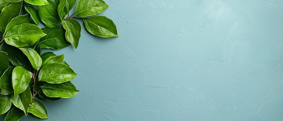 Fototapeta premium A green plant on a blue wall with copy space