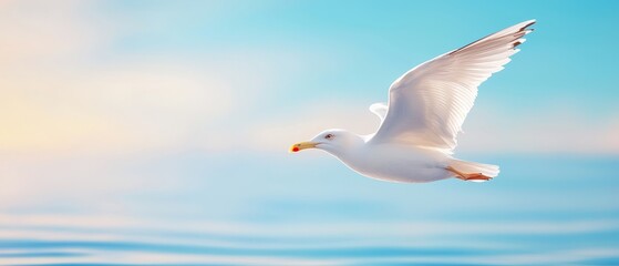 Obraz premium A seagull flying over a body of water