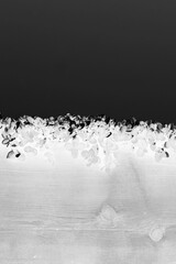 flowers on the wall in black and white film negative