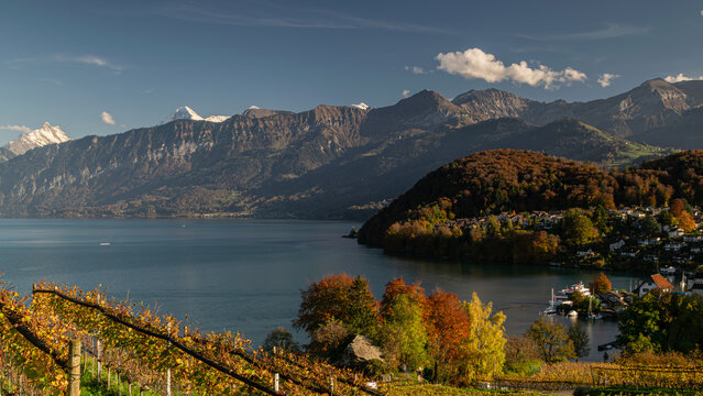 Thunersee vom Spiezberg