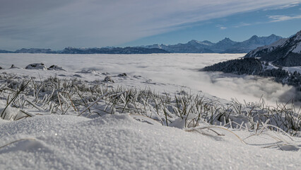 Der Winter h&auml;lt Einzug 