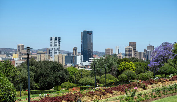 Pretoria city center, high rise buildings and blooming jacaranda trees. South Africa.
