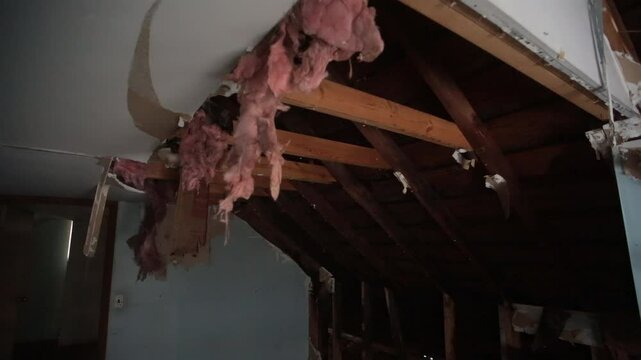 Damaged Ceiling with Exposed Wood Rafters and Pink Insulation in Abandoned Detroit Home