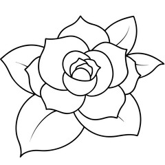 Rose Camellia Line Art Vector Illustration