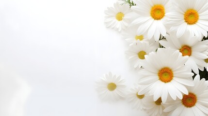 Fototapeta premium Bouquet of white daisies on a white background with copy UHD Wallpaper