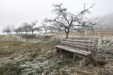 Winterstimmung im Schwarzwald