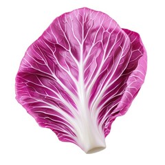 Obraz premium A vibrant purple cabbage leaf showcasing intricate vein patterns, symbolizing freshness and health in culinary dishes.