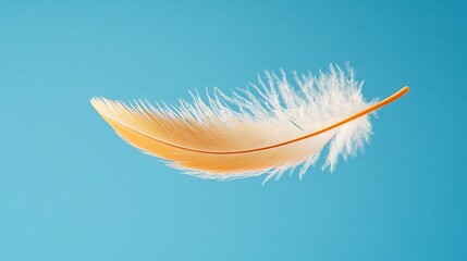 Fototapeta premium Feather drifting gracefully in the air, captured in slow motion