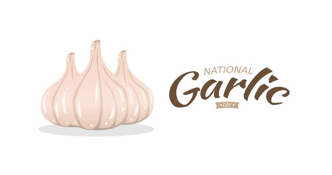 national garlic day motion video, ideal for national garlic day celebration