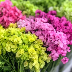 Obraz premium A vibrant mix of pink, purple, and green flowers with delicate blooms.