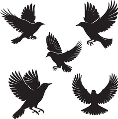 Obraz premium common blackbird flying poses, black and white vector 