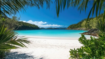 Vibrant tropical beach with turquoise waters and white sand, palm leaves in the foreground and clear sky above