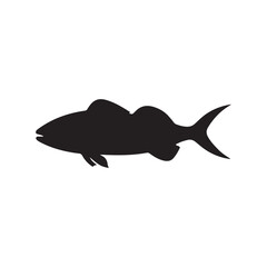 Fototapeta premium Vector illustration silhouette of haddock fish, fish silhouette black vector art illustration 