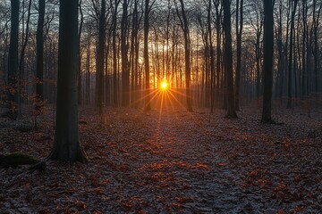 Fototapeta premium Sunset in the woods during the winter. Generative Ai