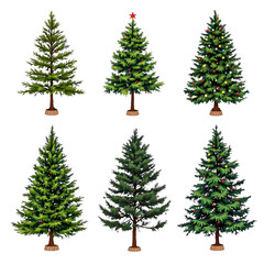 Obraz premium Set of christmas tree isolated on transparent background