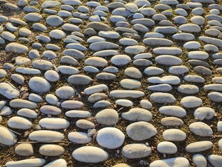 Obraz premium background of rounded stones in sunlight