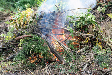 Closeup of garden bonfire in Autumn, Derbyshire England
