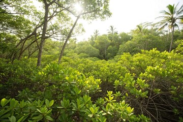 Dense thicket of small green leaves on a tropical background with sunlight filtering through, dense, nature photography, small leaves, tropical