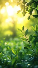 Obraz premium Lush Green Leaves with Morning Dew and Soft Sunlight Filtering Through a Vibrant Forest Setting in a Tranquil Natural Environment
