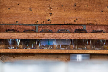 A neat arrangement of glasses on a shelf made of wood, in a coffee shop kitchen, old station