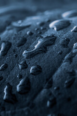 Rainwater on the leaves, water drops on black background