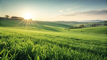 Obraz premium Rolling green grass field with a sun shining in the background, creating a soft bokeh effect, sunlight filtering through leaves, field view, landscape photo, countryside scenery