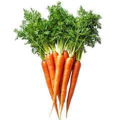 Fresh and vibrant carrots with green tops, ideal for healthy recipes and gardening., isolated on a transparent background.