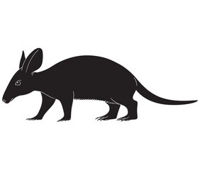 Obraz premium Silhouette of a aardvark