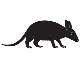 Obraz premium Silhouette of a aardvark