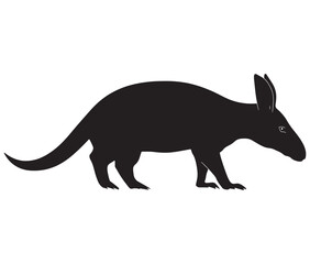 Fototapeta premium Silhouette of a aardvark