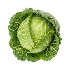 Fototapeta premium Fresh ripe whole green cabbage leaves isolated on a transparent background, top view 