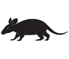 Obraz premium Silhouette of a aardvark