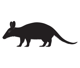 Obraz premium Silhouette of a aardvark
