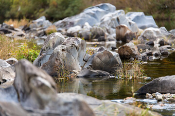 Obraz premium rocks and flowing water in the autumn stream