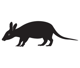 Obraz premium Silhouette of a aardvark