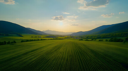 Obraz premium Aerial View of Green Field with Mountains in the Background Photo