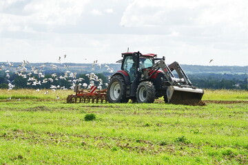 Obraz premium Tractor and seagulls in the Normandy countryside in France