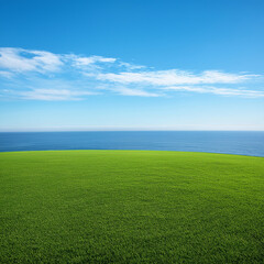 Fototapeta premium A vast green lawn stretches to the horizon, overlooking an endless blue sea under a clear sky