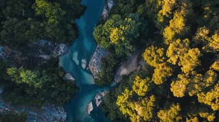 A beautiful blue river with trees on either side