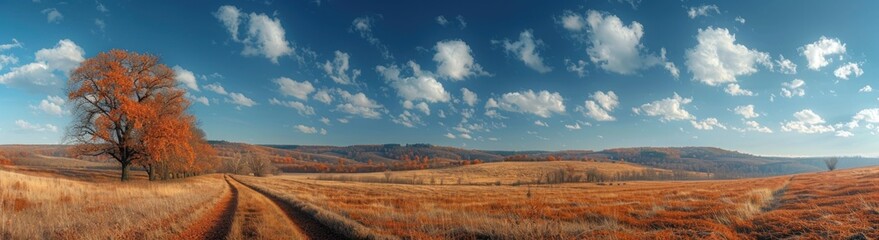 Fototapeta premium Autumnal Landscape with a Winding Path