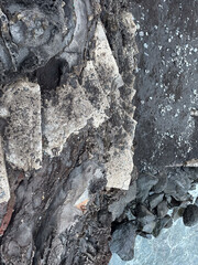 Rugged Coastal Rock Formation by the Shoreline