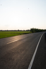 Fototapeta premium Serene road journey rural landscape photography green fields eye-level view nature's calm