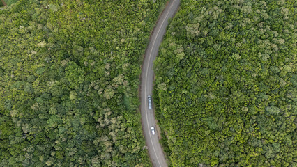 Scenic Aerial View of Curved Road Through Lush Green Forest